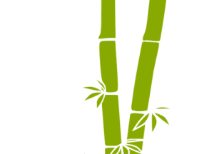 Bamboo PNG-63804